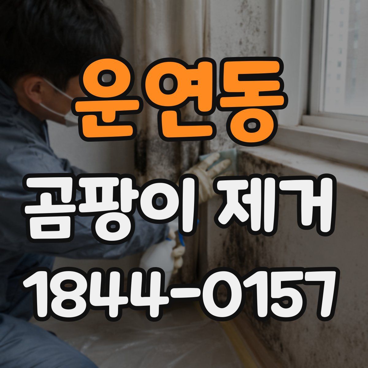 운연동 곰팡이 제거