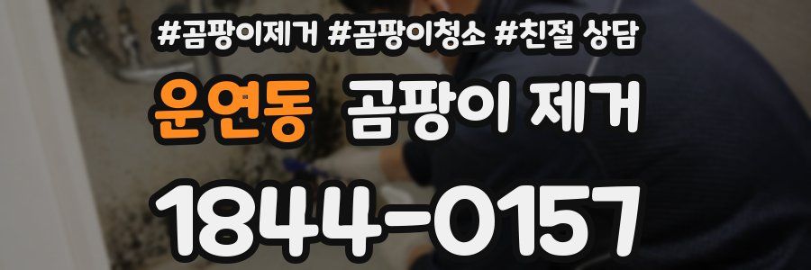 운연동 곰팡이 제거