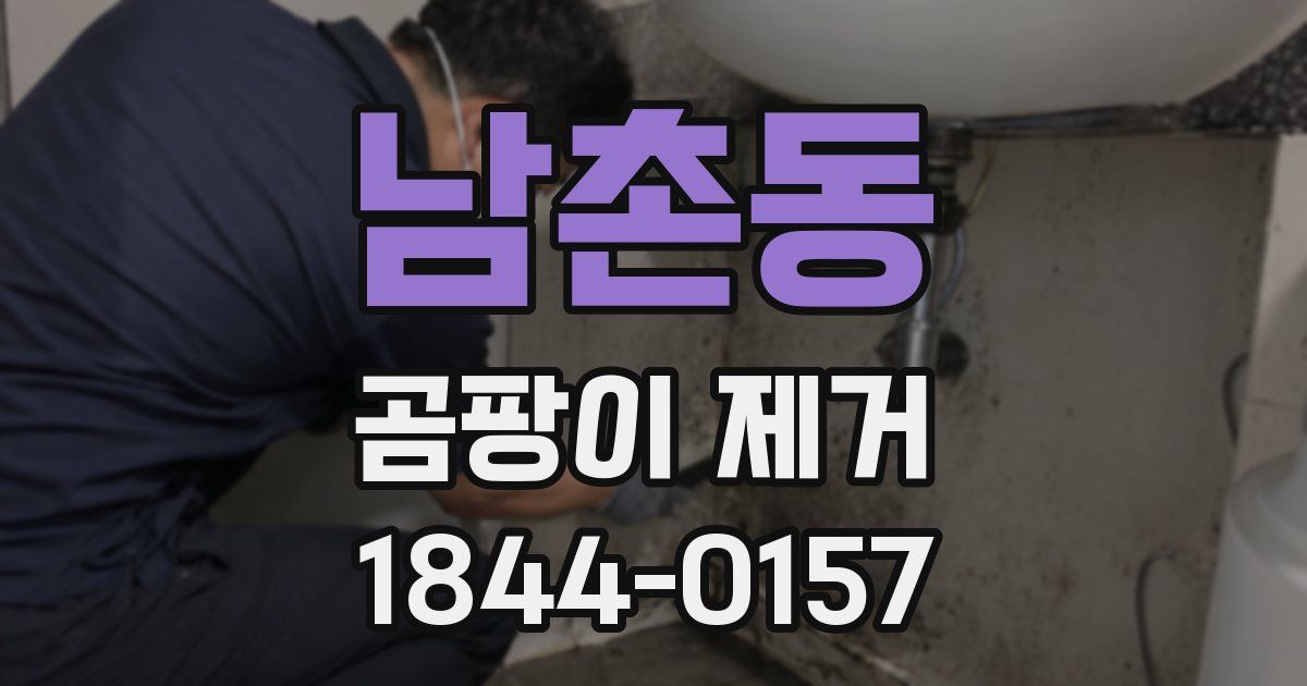 남촌동 곰팡이 제거