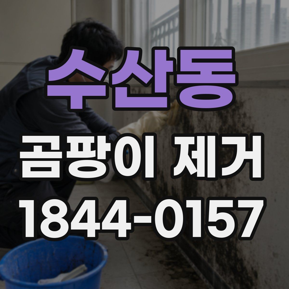 수산동 곰팡이 제거 청소 후 냄새까지 줄이는 방법