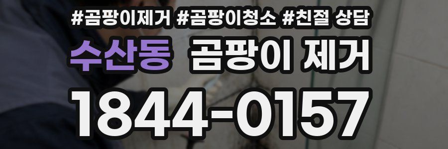 수산동 곰팡이 제거