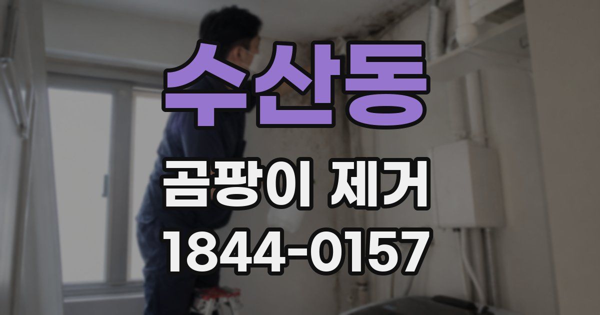 수산동 곰팡이 제거