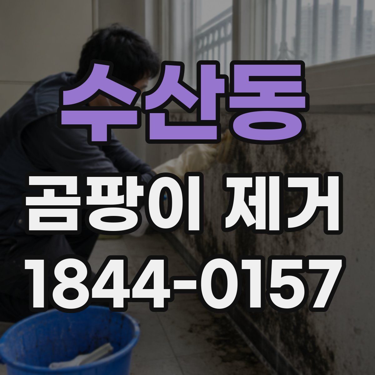 수산동 곰팡이 제거