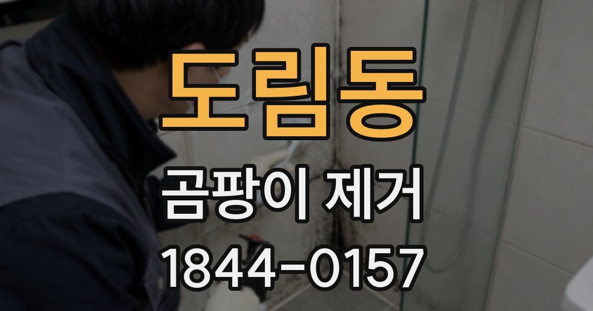 도림동 곰팡이 제거