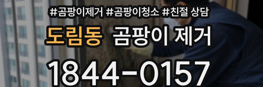도림동 곰팡이 제거