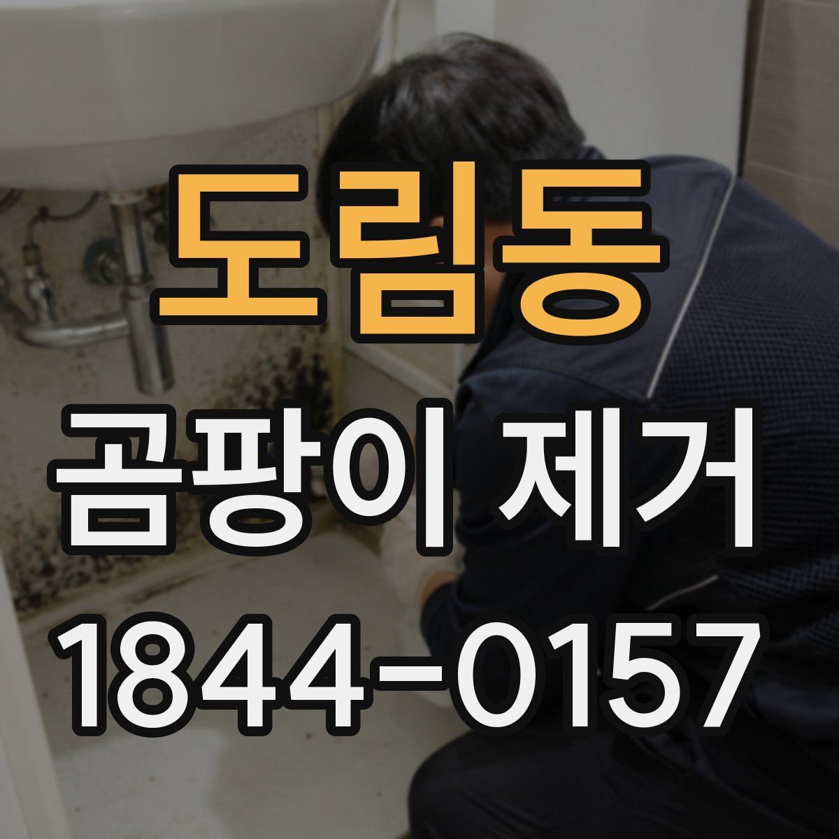도림동 곰팡이 제거