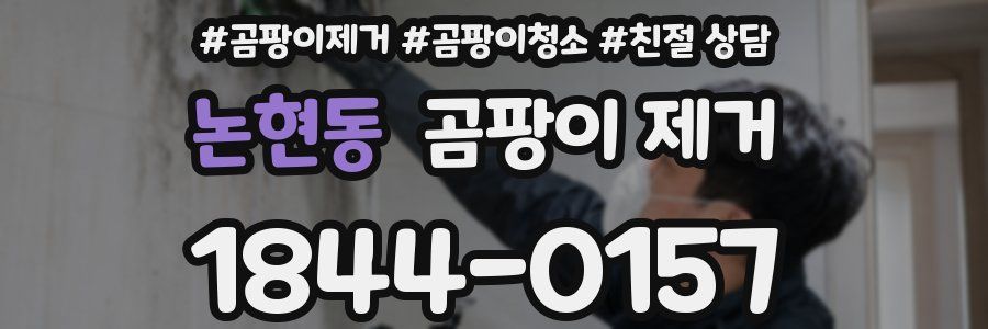 논현동 곰팡이 제거