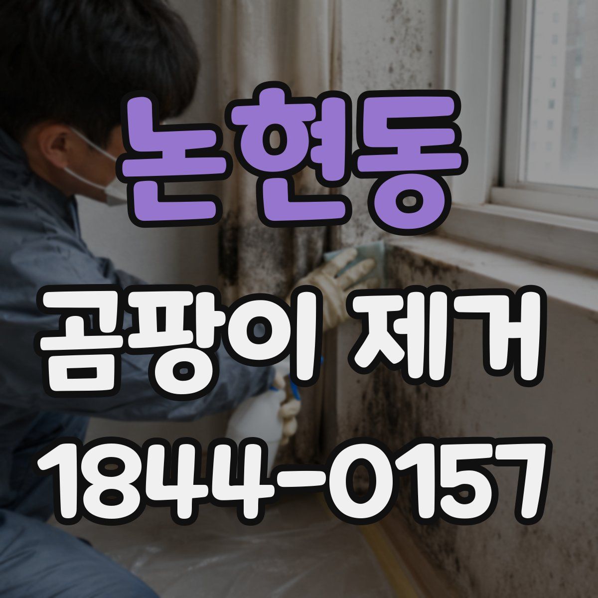 논현동 곰팡이 제거