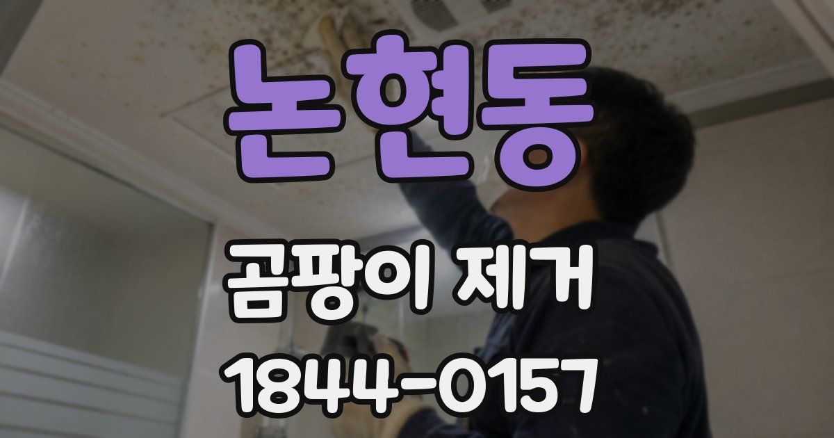 논현동 곰팡이 제거