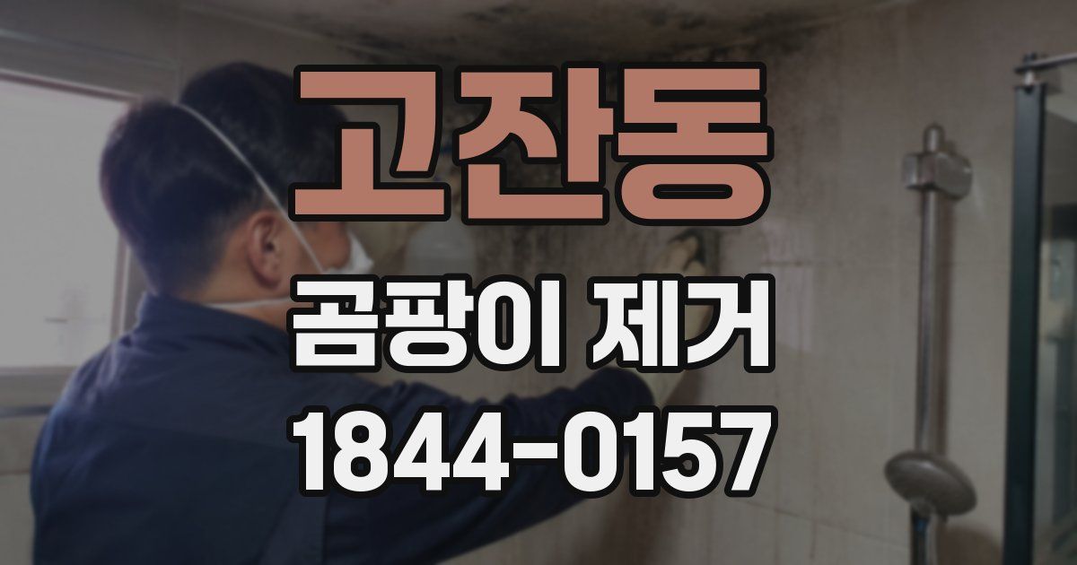 고잔동 곰팡이 제거