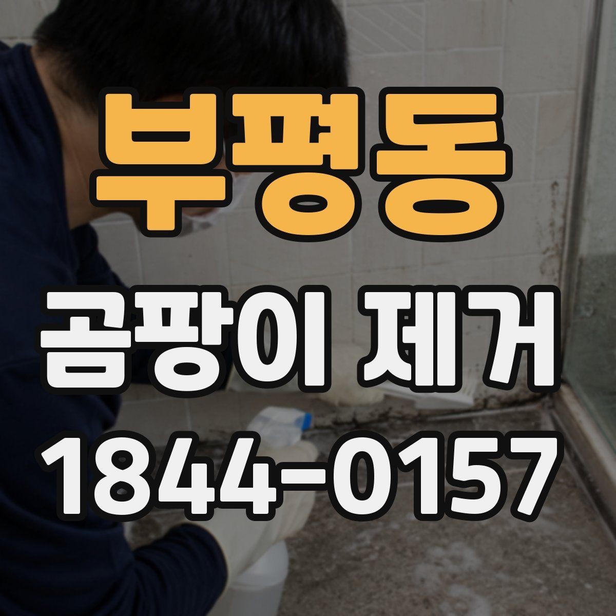 부평동 곰팡이 제거 셀프로 할 때 주의할 사항