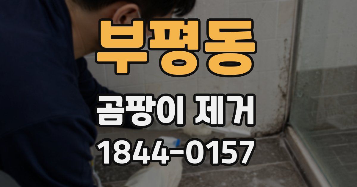 부평동 곰팡이 제거