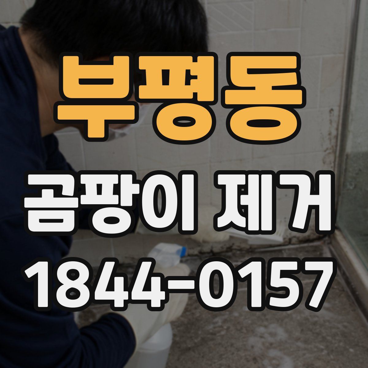 부평동 곰팡이 제거