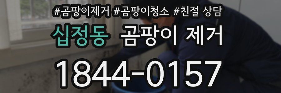 십정동 곰팡이 제거