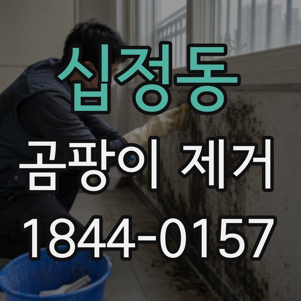 십정동 곰팡이 제거