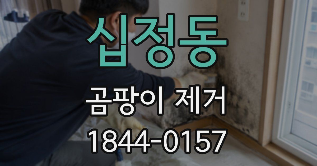 십정동 곰팡이 제거