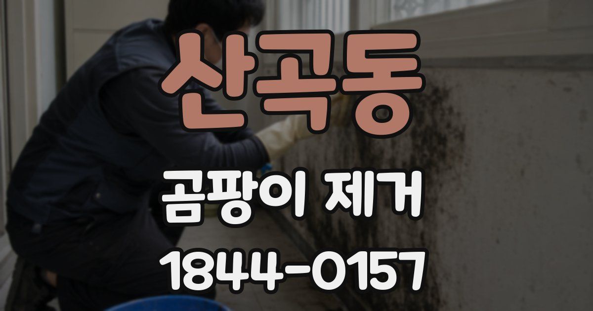 산곡동 곰팡이 제거