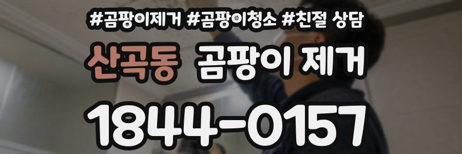 산곡동 곰팡이 제거