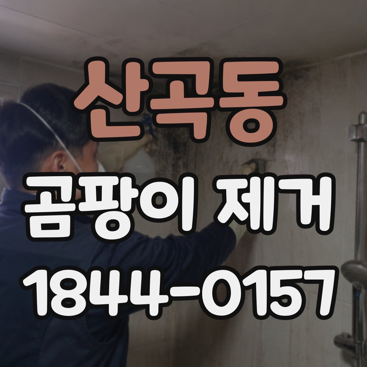 산곡동 곰팡이 제거