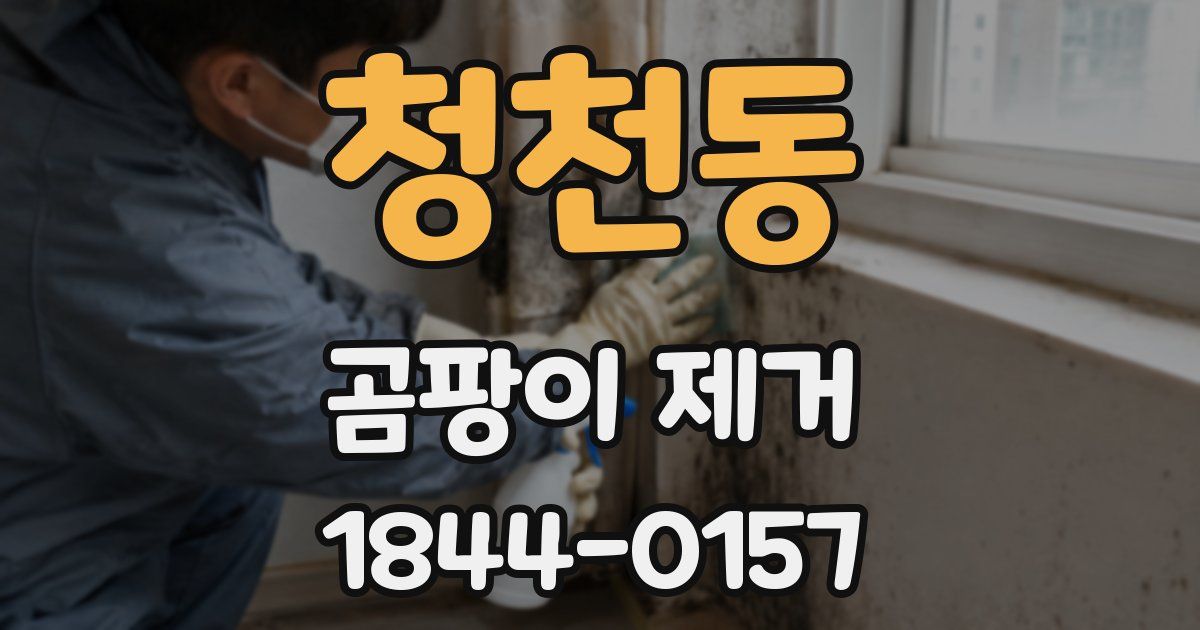 청천동 곰팡이 제거