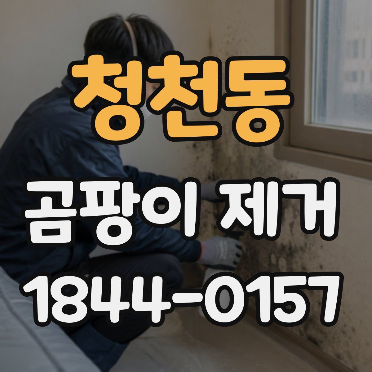 청천동 곰팡이 제거