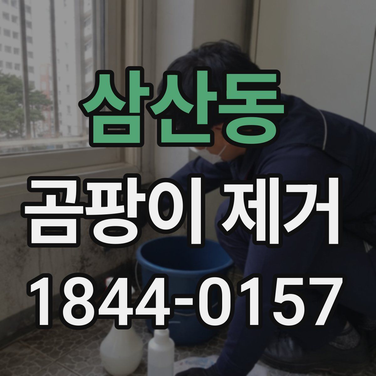삼산동 곰팡이 제거