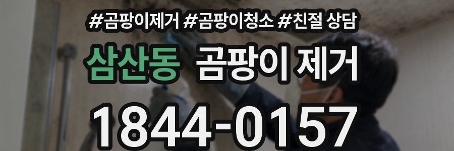 삼산동 곰팡이 제거