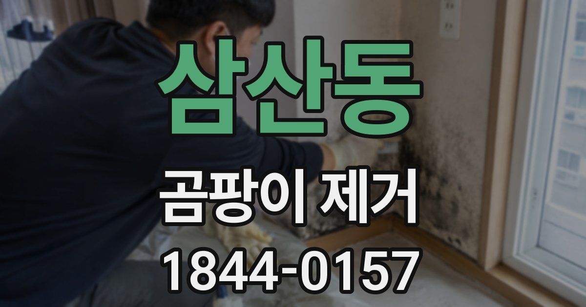 삼산동 곰팡이 제거