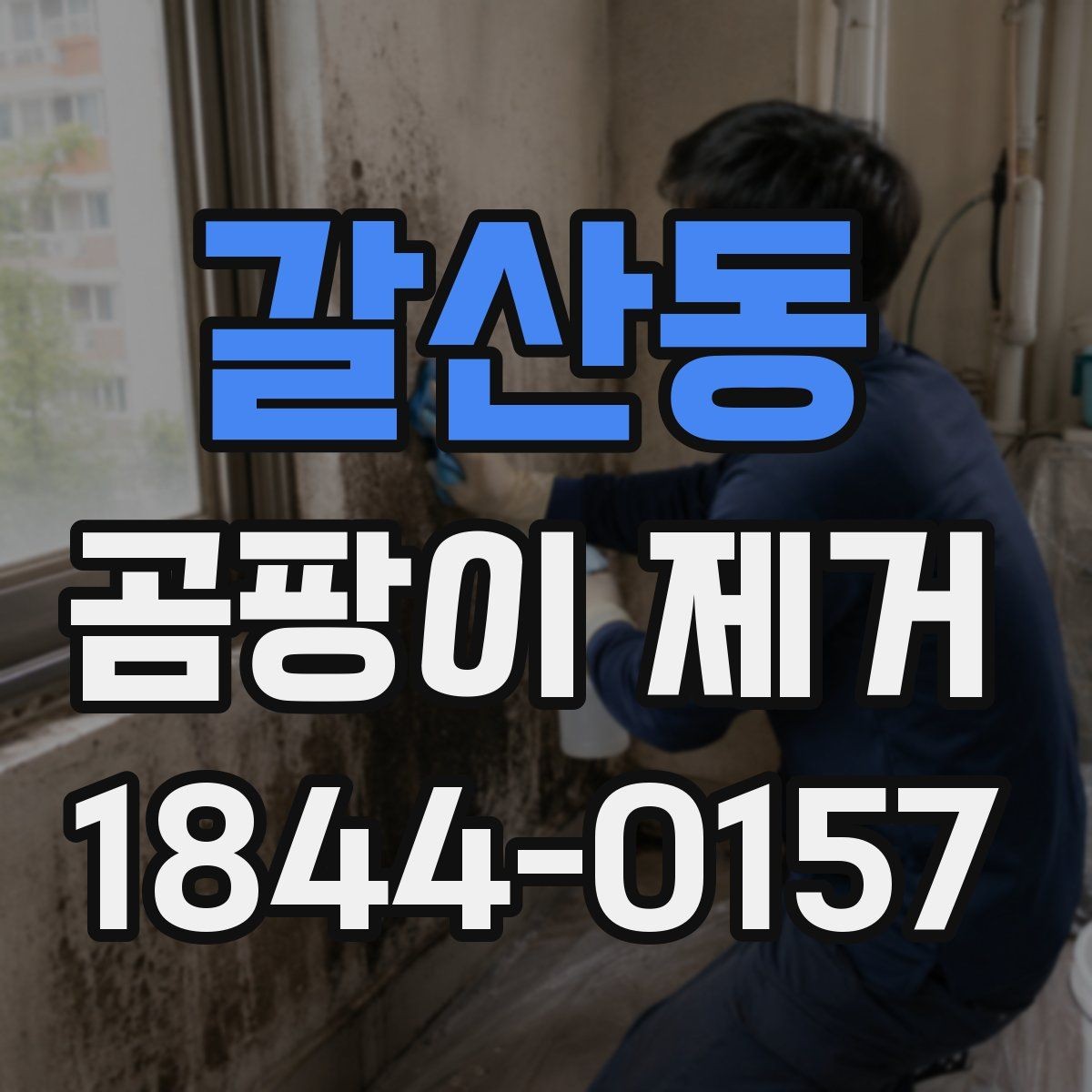 갈산동 곰팡이 제거 업체 선택 시 후기보다 중요한 것