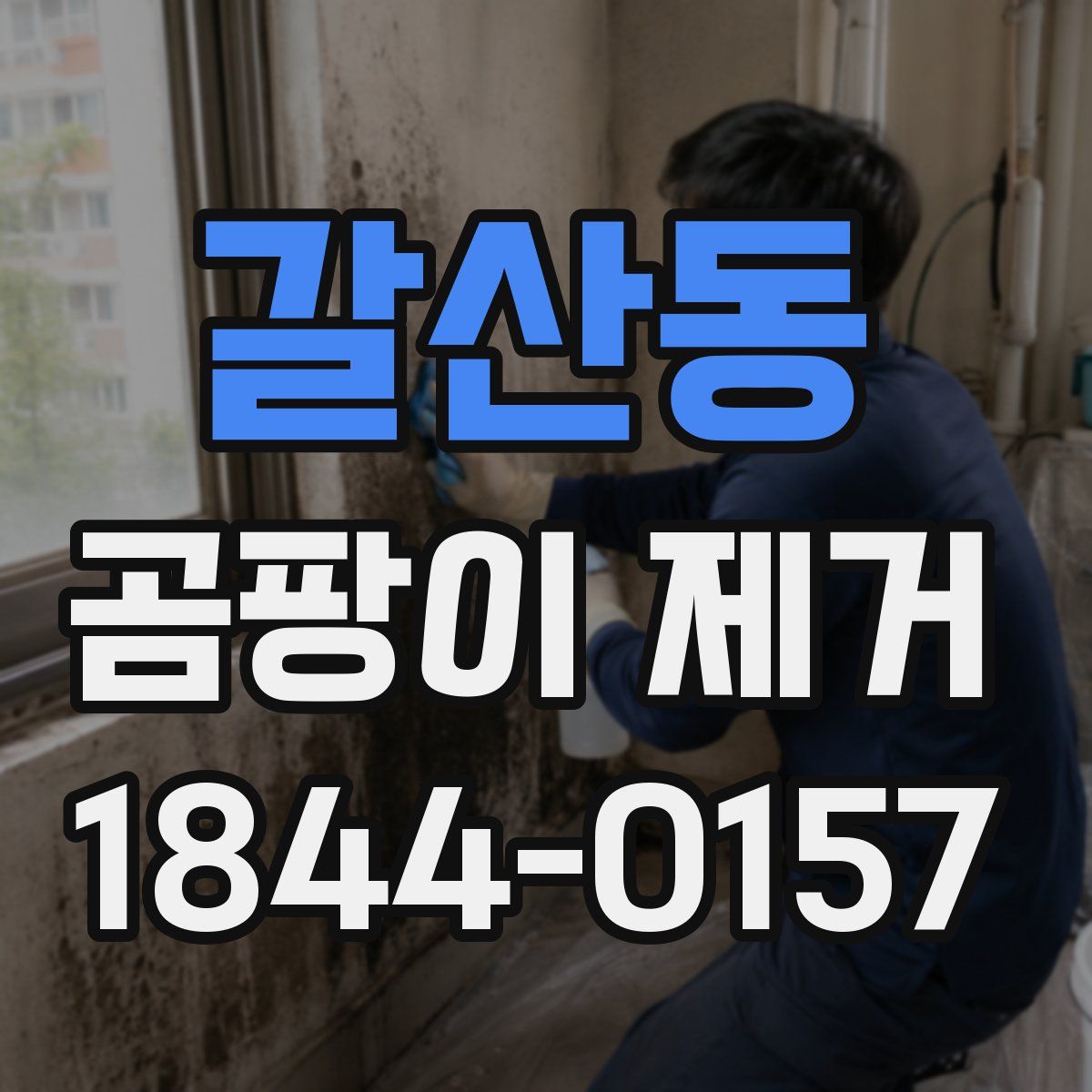 갈산동 곰팡이 제거