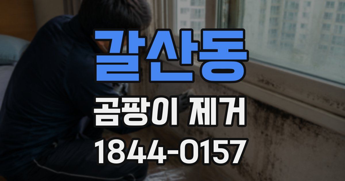 갈산동 곰팡이 제거