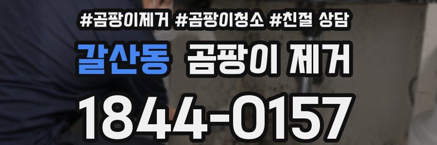 갈산동 곰팡이 제거