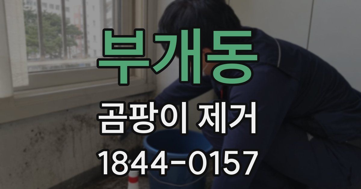 부개동 곰팡이 제거
