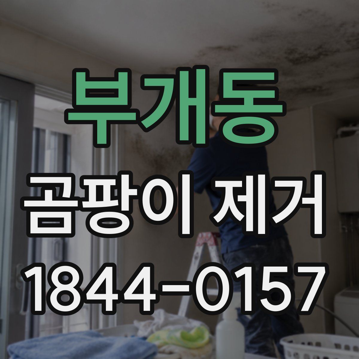 부개동 곰팡이 제거