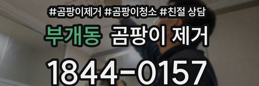 부개동 곰팡이 제거