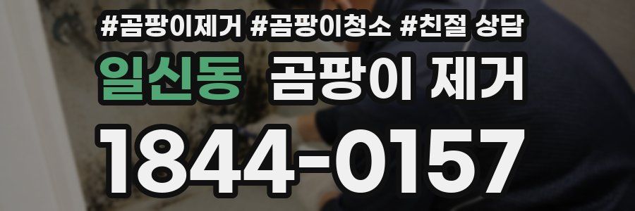 일신동 곰팡이 제거