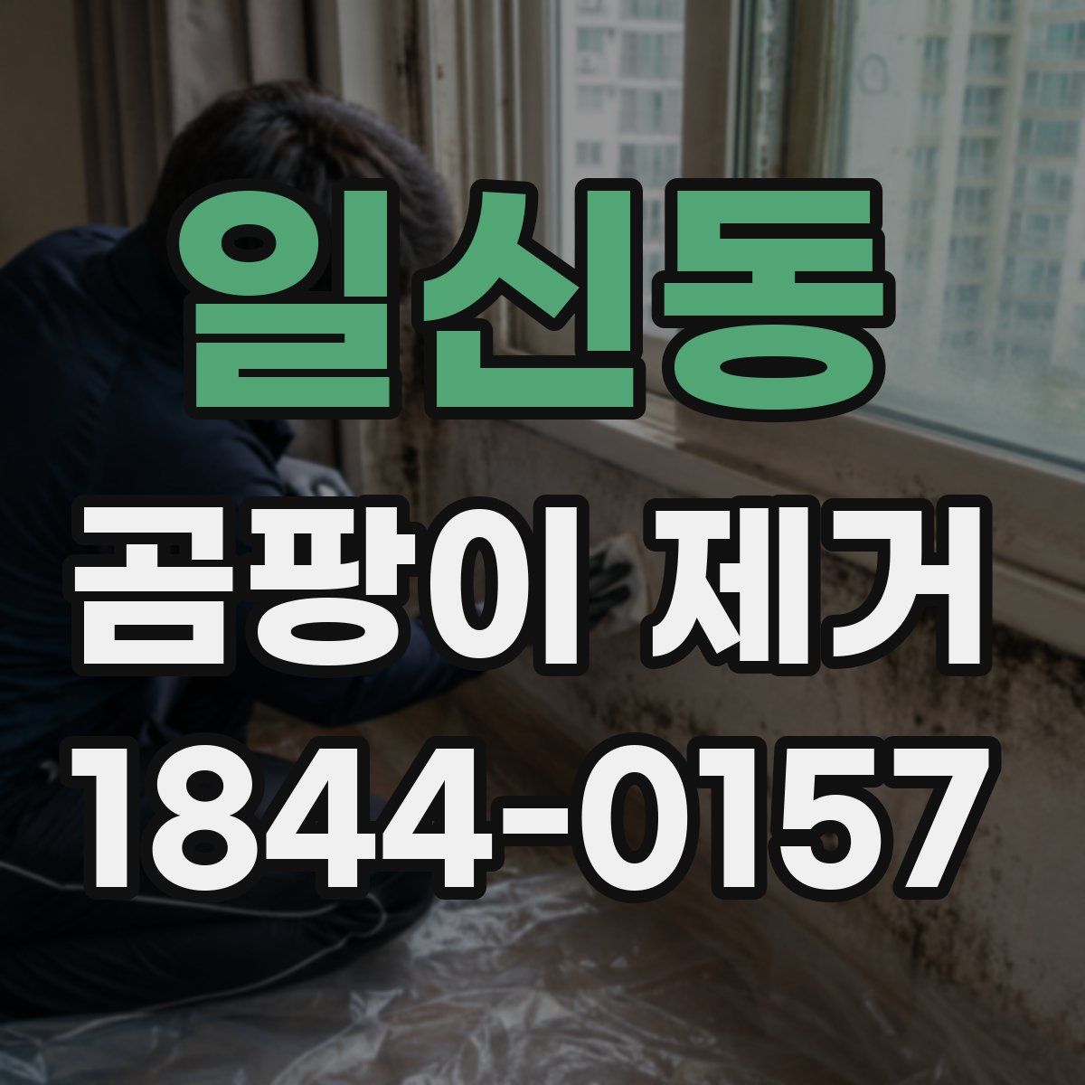 일신동 곰팡이 제거