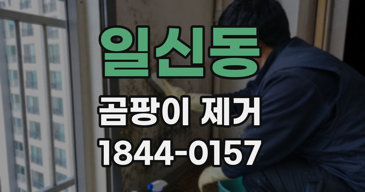 일신동 곰팡이 제거