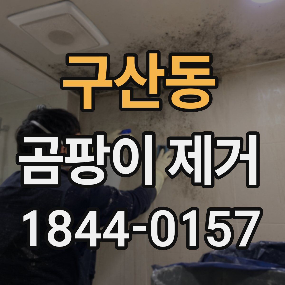 구산동 곰팡이 제거