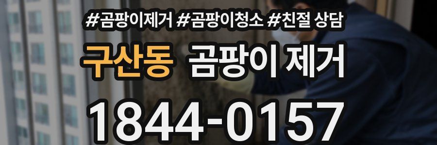 구산동 곰팡이 제거