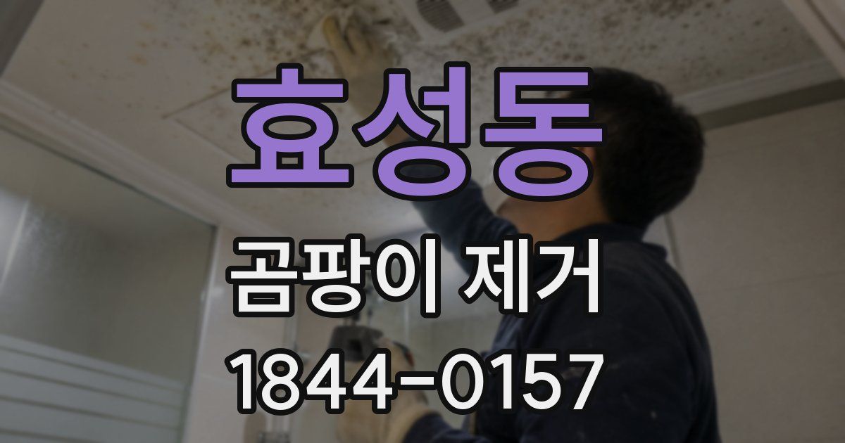 효성동 곰팡이 제거