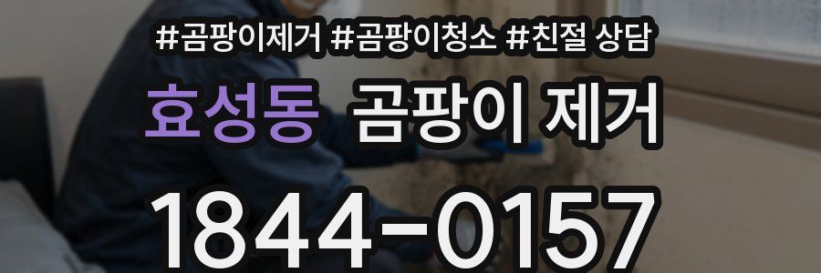 효성동 곰팡이 제거