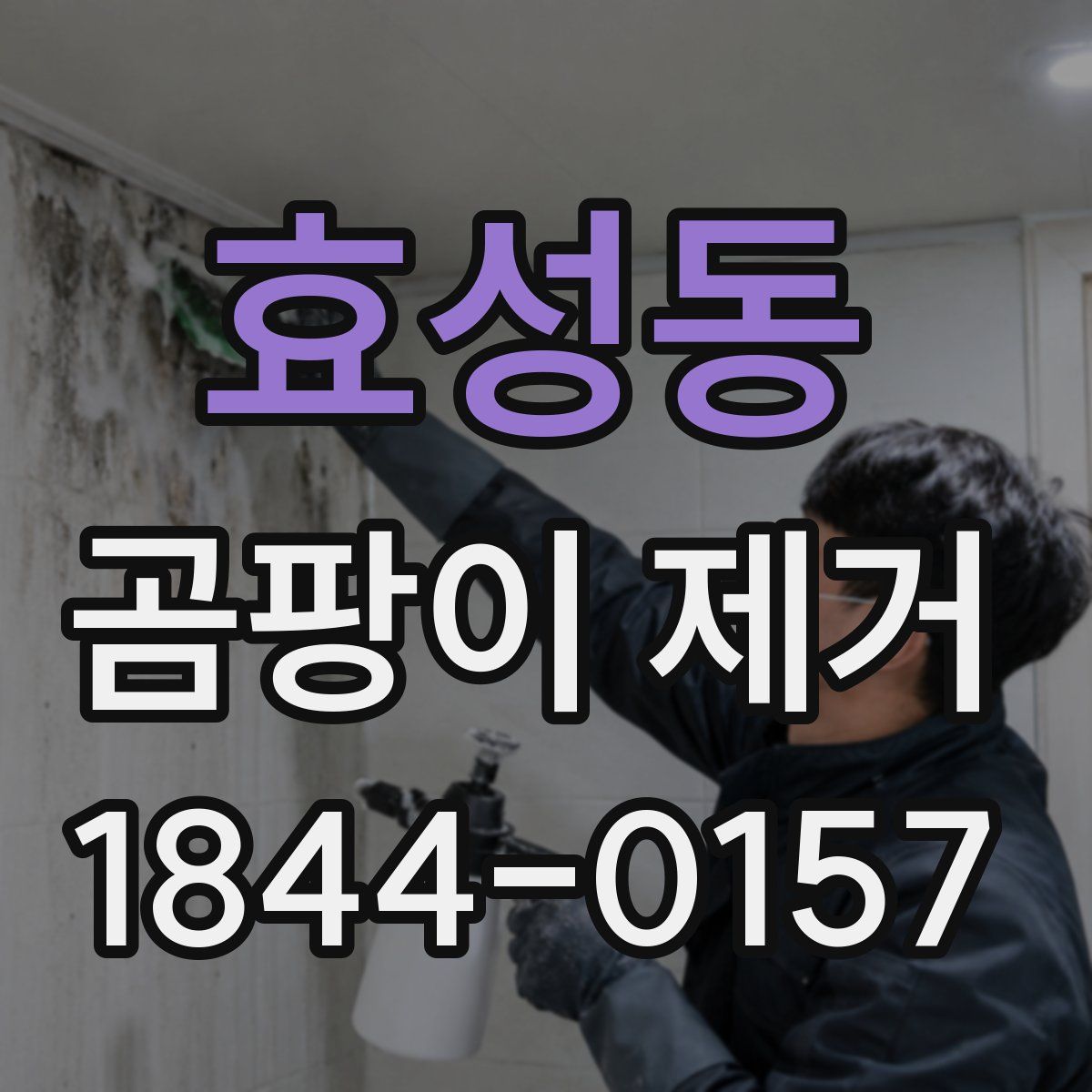 효성동 곰팡이 제거