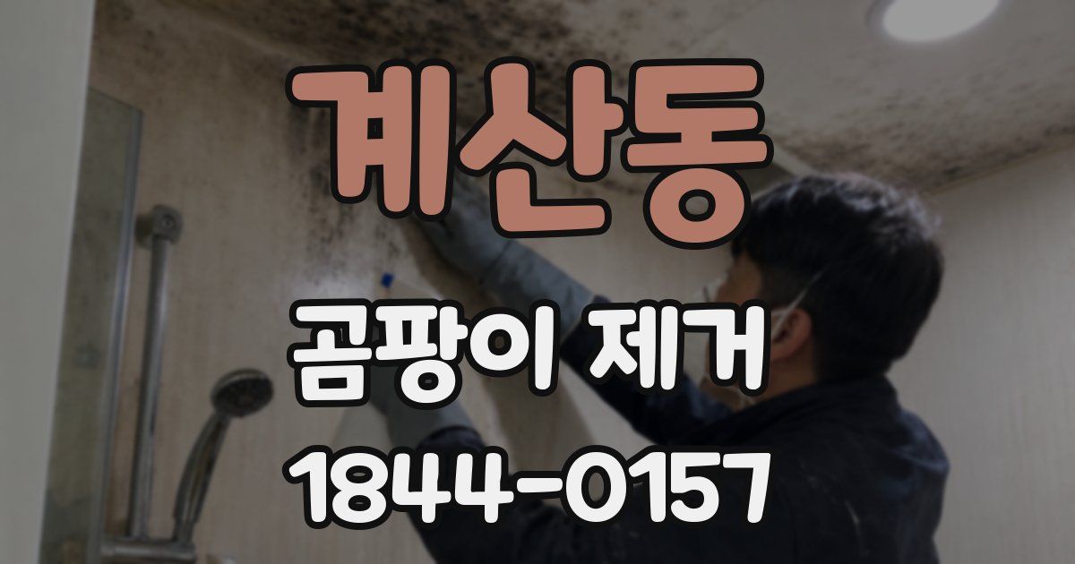 계산동 곰팡이 제거