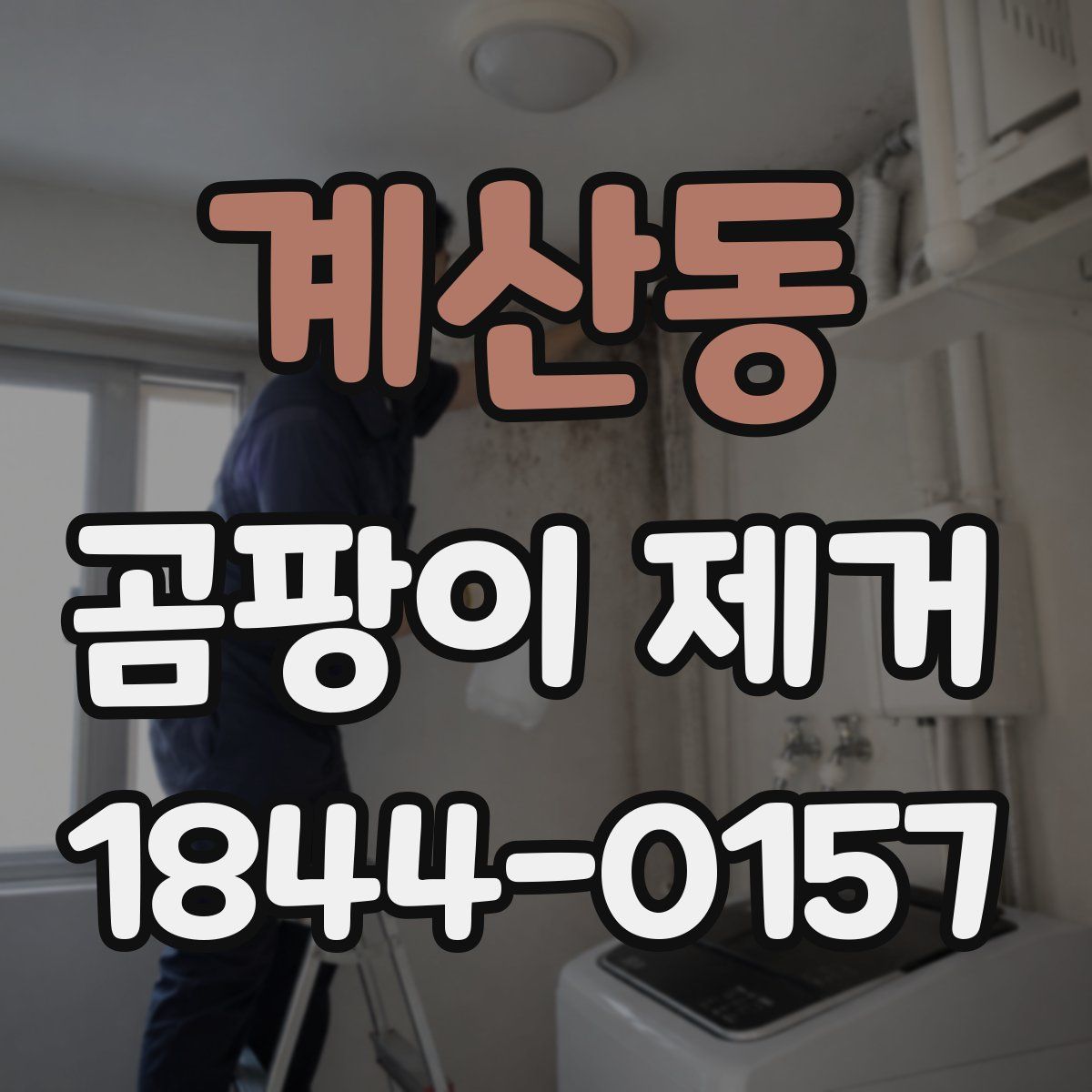 계산동 곰팡이 제거