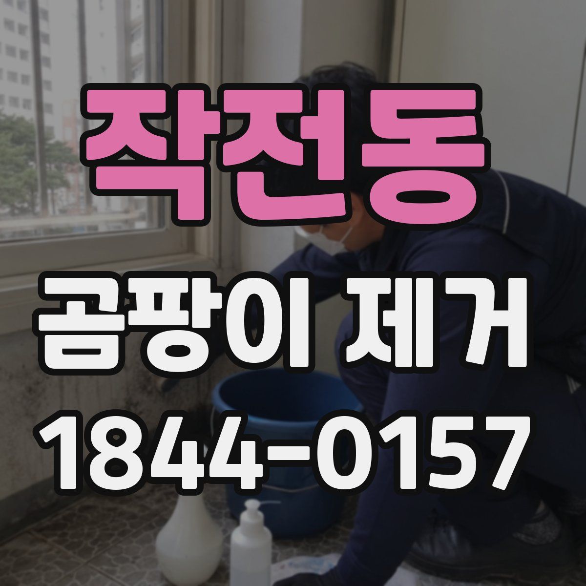 작전동 곰팡이 제거