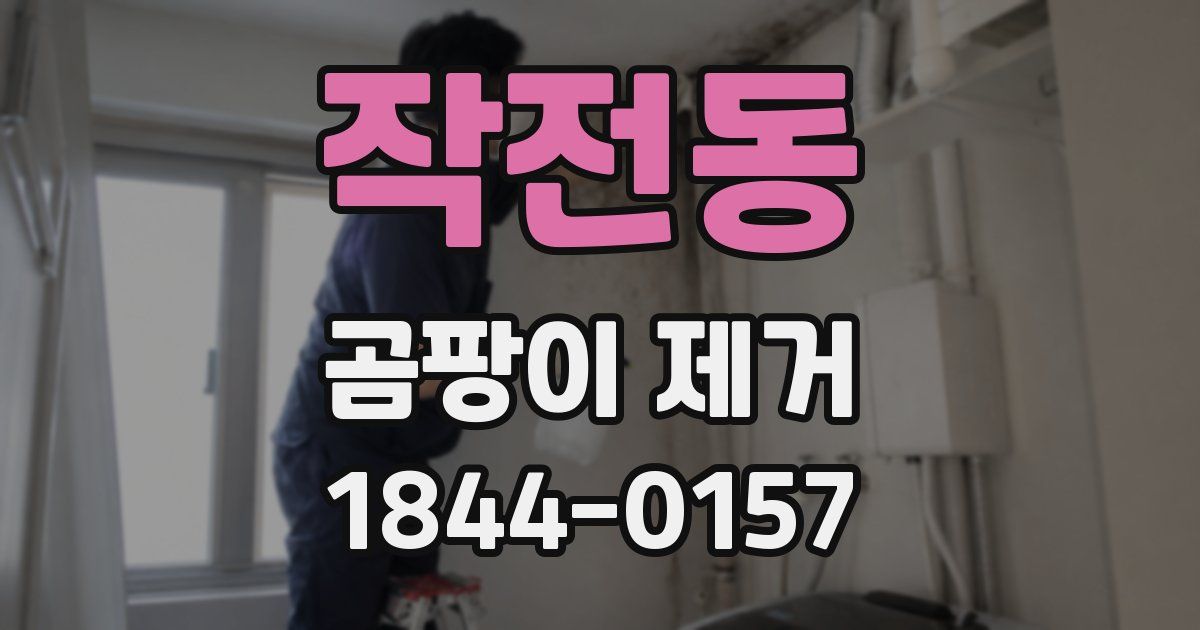 작전동 곰팡이 제거