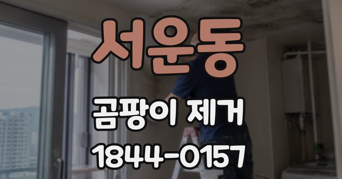 서운동 곰팡이 제거