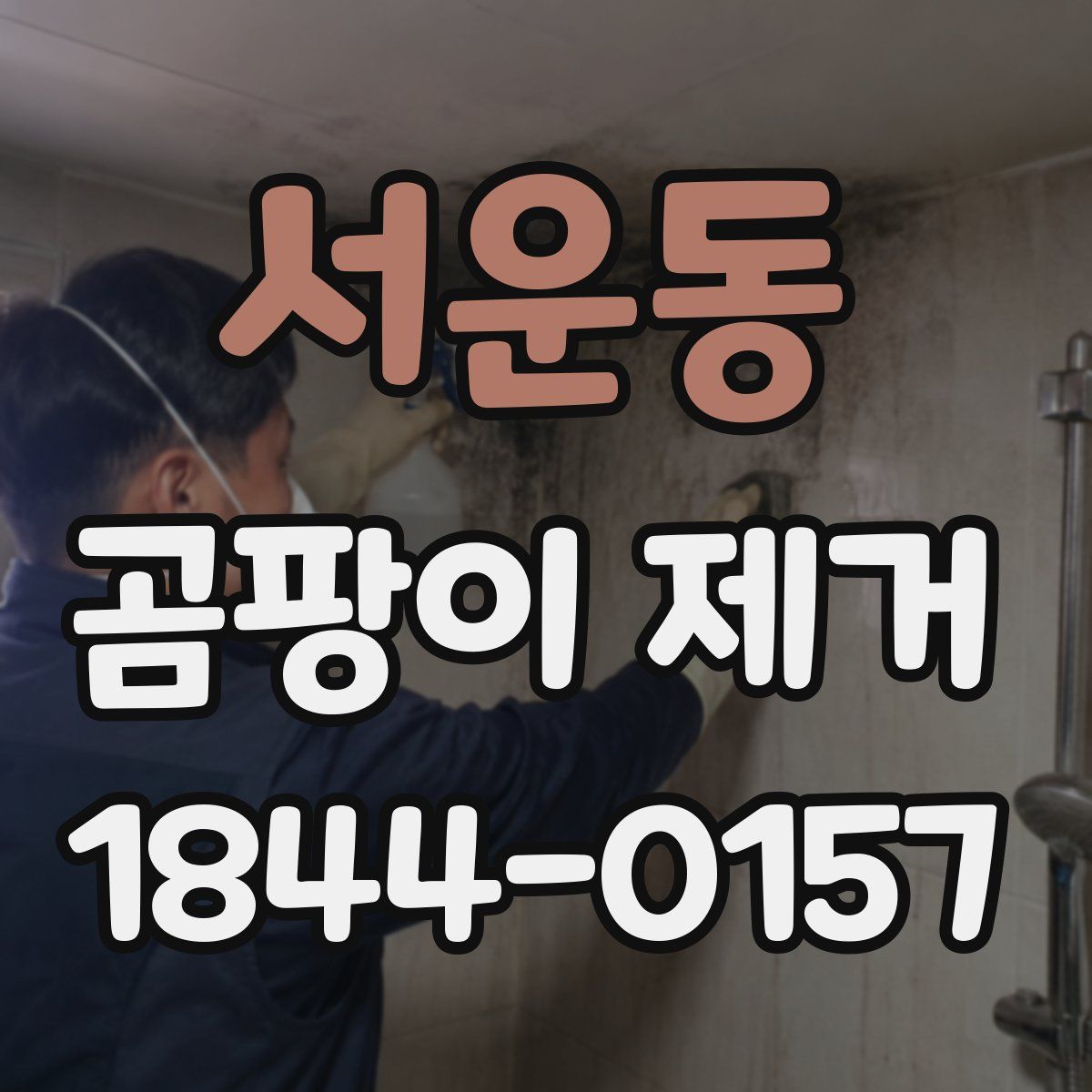서운동 곰팡이 제거