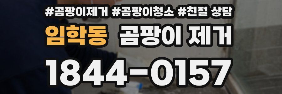 임학동 곰팡이 제거